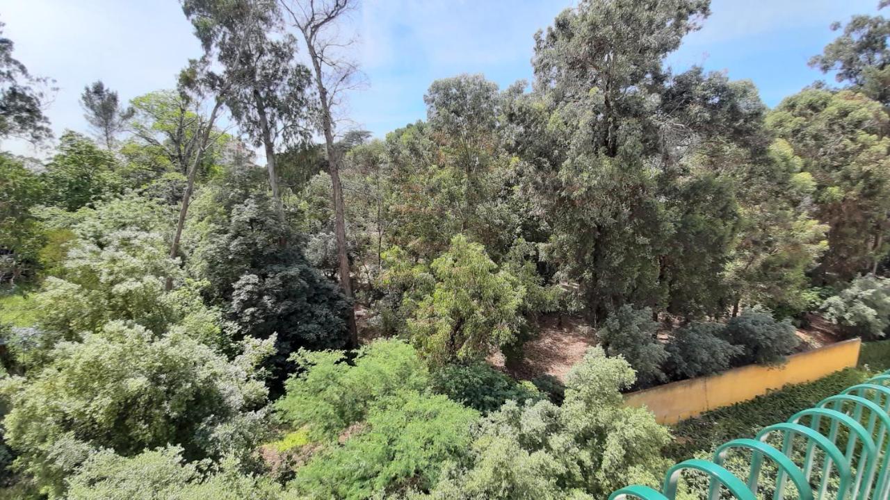 Forest View Lisboa Eksteriør bilde